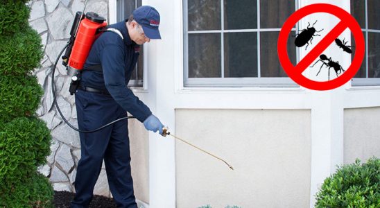 Beykoz Haşere İlaçlama böcek ilaçlama ve haşere kontrolü — ilaclama-tr.com